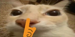 otagShush emote