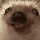 tasty emote