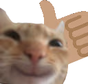 upswag emote
