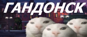 GANDONSK emote
