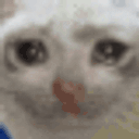 sadDistortedCat animated emote