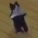catJAMS emote
