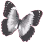 whitebutterfly emote