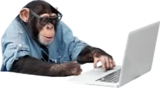 BusinessMonke emote
