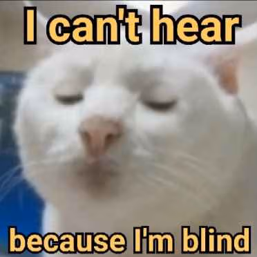 cant_cuz_im_blind emote