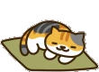nekoatsume_sleep emote