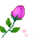 RosePink emote
