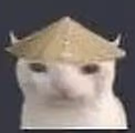 kot emote