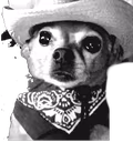 doggiehaw emote