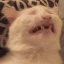 CE_inpain2 emote