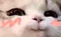 smile emote