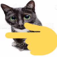 pointingleftcat emote