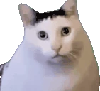 HUH emote