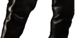 Van5 emote