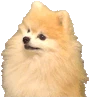 bark emote