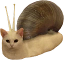 SnailCat emote