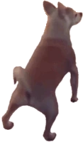 DogTwerk emote