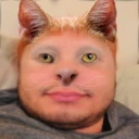 LemonCat emote