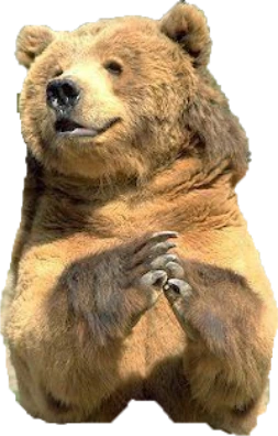 bear emote