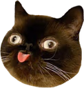 derpblep emote