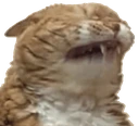CE_inPain4 emote