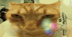 juh animated emote