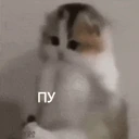pupupu emote