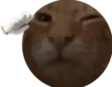 buh7 emote