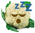 sleepfiol emote