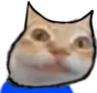 ermgi static emote