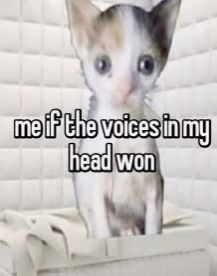 the_voices_in_my_head_won emote