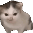 KITTEN animated emote