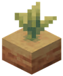 Minecraft_Pitcher_Plant_Stage_2 emote