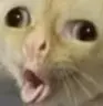 CE_Goofy emote