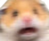 AAAA emote