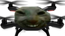 xdDrone emote