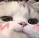 3 emote