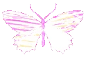 pinkbutterflyholopastel emote