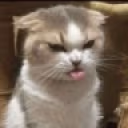 Eww emote