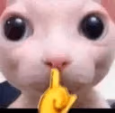 bingus_shush emote