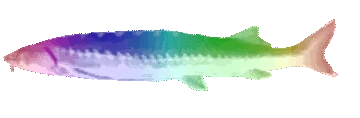 JoelPride emote