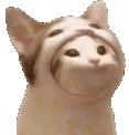 popEat emote