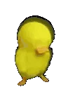 Vanish emote