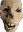 Crustyskull emote