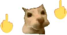 fuckyoufuckyou emote