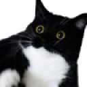 boobsScared static emote