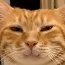 3 emoji