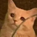 CE_SadStare2 emote