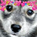 Sad_Love_Puppy emote