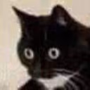 CE_CtaTraumatiza emote